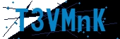 recaptcha