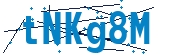 recaptcha